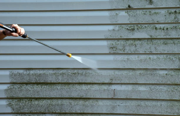 Best Commercial Building Pressure Washing  in Sheridan, IL