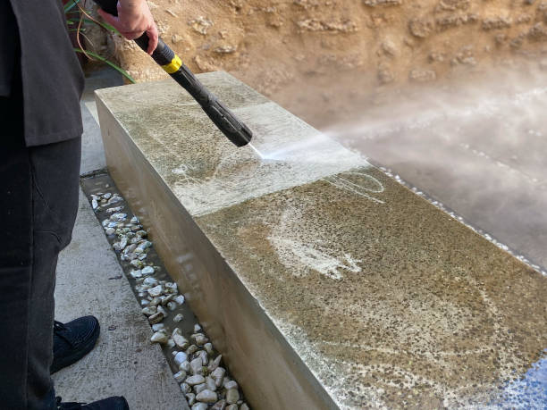Best Exterior Home Cleaning  in Sheridan, IL