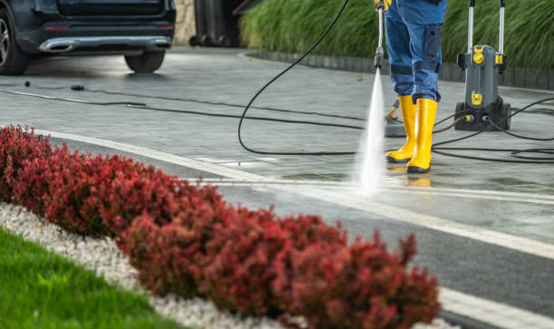 Best Local Pressure Washing Services  in Sheridan, IL