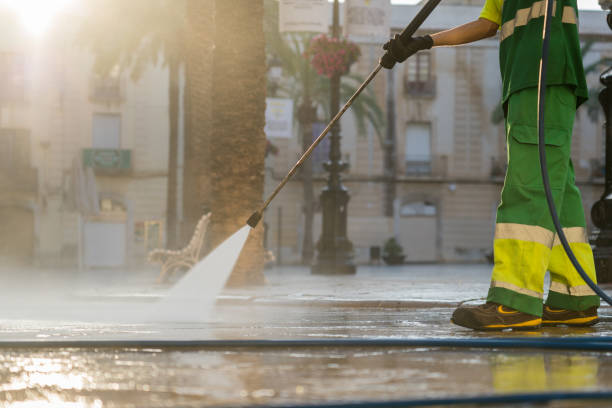 Best Roof Power Washing Services  in Sheridan, IL