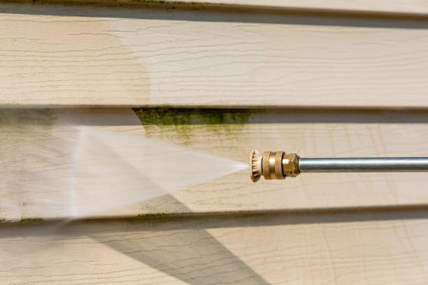 Best Power Washing Near Me  in Sheridan, IL