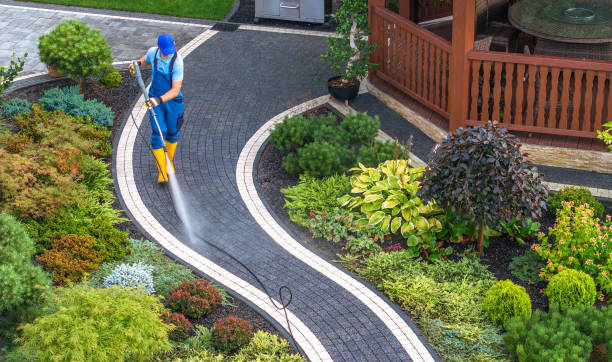 Best Power Washing Near Me  in Sheridan, IL