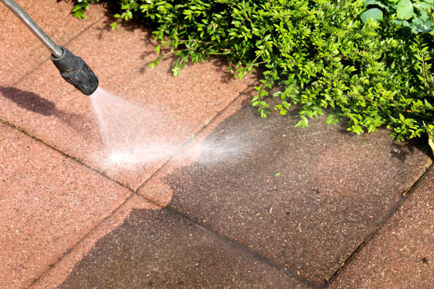 Best Residential Pressure Washing Services  in Sheridan, IL